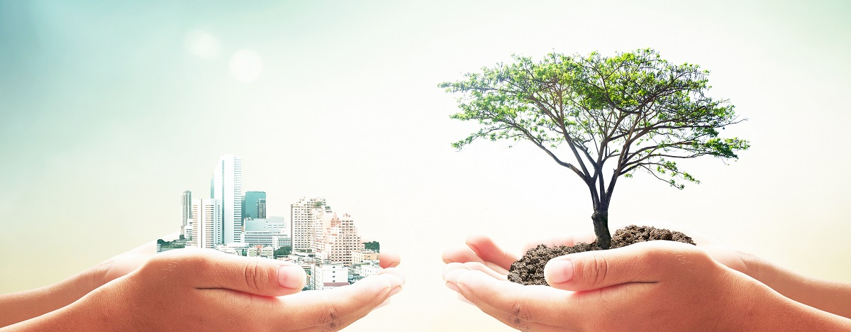 Zwei paar H&auml;nde ber&uuml;hren sich fast, eine tr&auml;gt symbolisch einen Baum und die andere eine Stadt