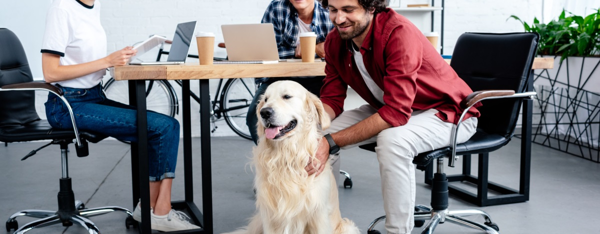 Hund mit Kollegen im Büro