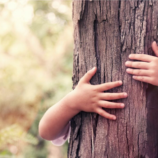 Bildausschnitt eines Baumes, der von einem Kind umarmt wird.